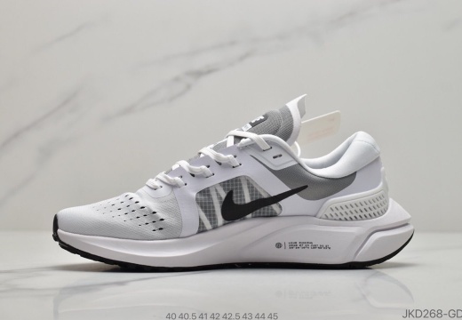 耐克Nike PEGASUS 15X 耐克 登月15代系列 (1)