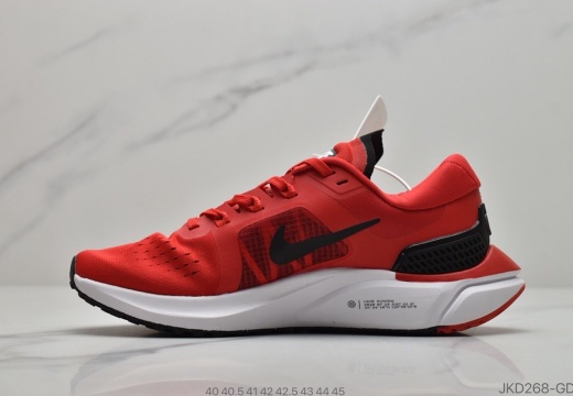 耐克Nike PEGASUS 15X 耐克 登月15代系列 (25)