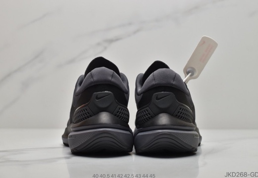 耐克Nike PEGASUS 15X 耐克 登月15代系列 (52)